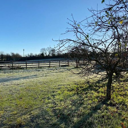 Greenway Farm Bed and Breakfast Bridgwater Esterno foto