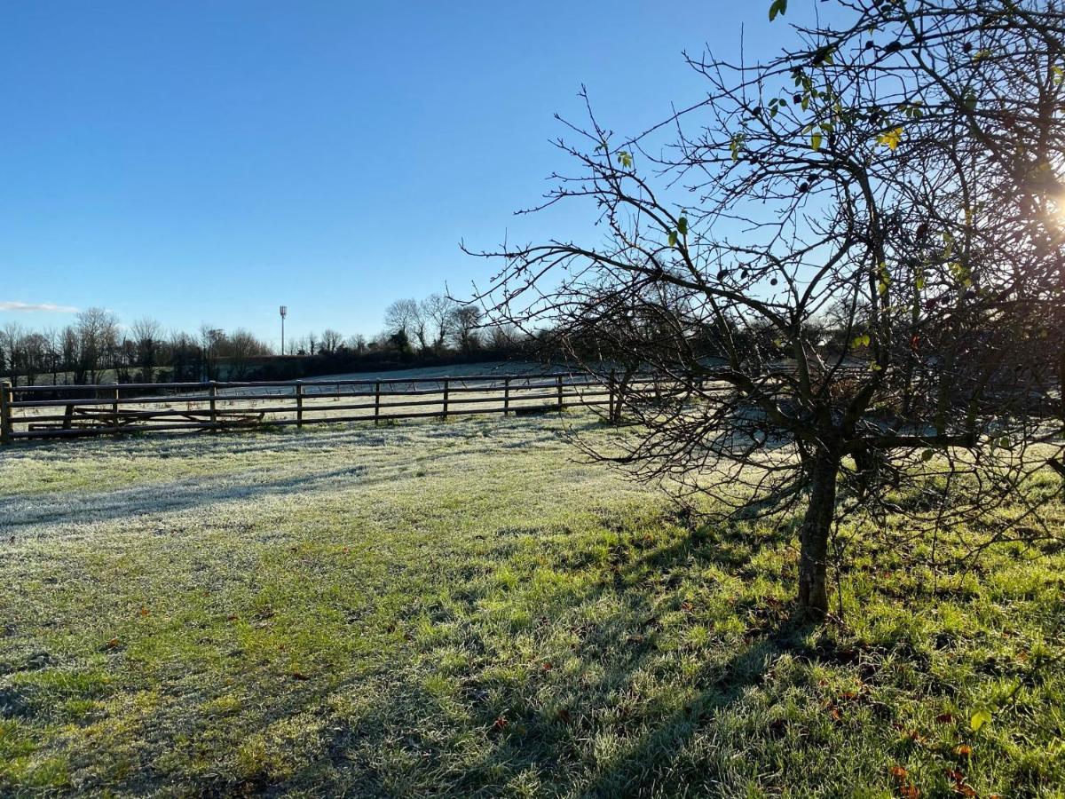 Greenway Farm Bed and Breakfast Bridgwater Esterno foto