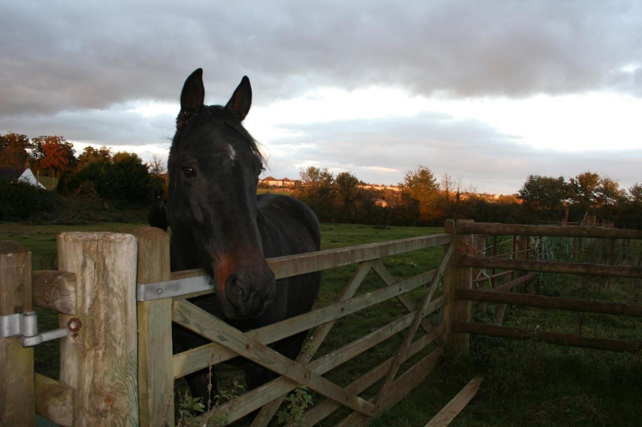 Greenway Farm Bed and Breakfast Bridgwater Esterno foto